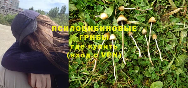 прущая мука Балахна