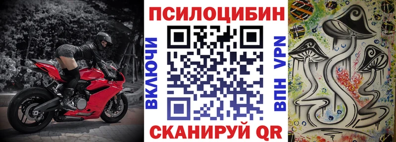 Галлюциногенные грибы мицелий  Новоульяновск 